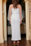 Celebrities Elegant Solid Lace Hollowed Out See-through O Neck Evening Dress Dresses