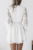 Sexy Vacation Solid Lace V Neck A Line Dresses