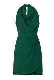 Elegant Vacation Solid Fold Scarf Collar Sleeveless Dress Dresses