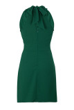 Elegant Vacation Solid Fold Scarf Collar Sleeveless Dress Dresses