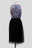 Sexy Solid Sequins Sequined O Neck Sleeveless Dress Dresses