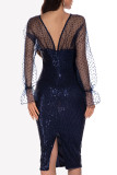Sexy Solid Embroidered Sequins Mesh V Neck Wrapped Skirt Dresses