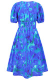 Bohemian Elegant Floral Contrast V Neck A Line Dresses