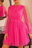 Celebrities Elegant Print The stars Mesh O Neck Princess Dresses