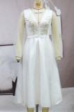 Elegant Solid Embroidered Mesh V Neck Evening Dresses