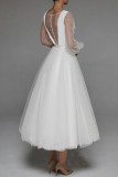 Elegant Solid Embroidered Mesh V Neck Evening Dresses