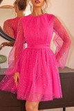 Celebrities Elegant Print The stars Mesh O Neck Princess Dresses