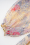 Floral Bandage Mesh V Neck A Line Dresses