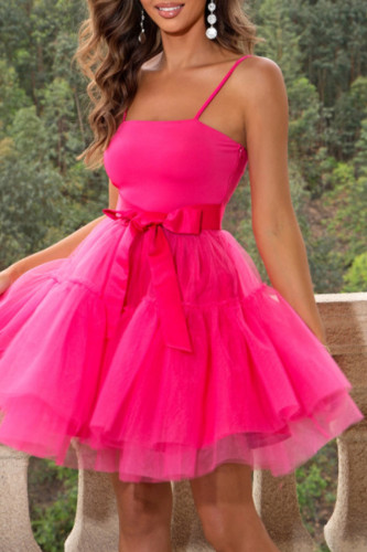 Sexy Party Solid Frenulum Mesh Princess Dresses