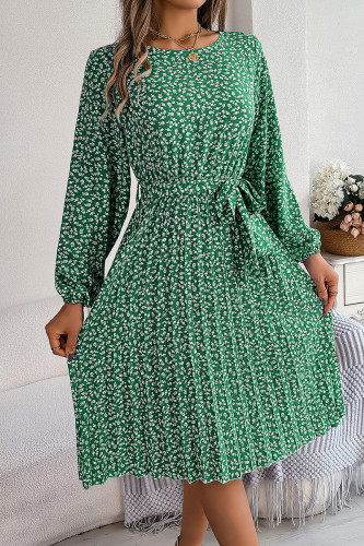 Elegant Print Flowers Frenulum Pleated O Neck A Line Dresses