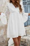 Sexy Vacation Solid Color Lace V Neck A Line Dresses