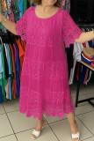 Casual Daily Solid Color Lace O Neck A Line Dresses