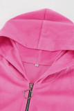 Casual Street Solid Color Fluffy Hooded Long Sleeve Two Pieces
