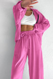 Casual Street Solid Color Fluffy Hooded Long Sleeve Two Pieces