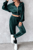 Casual Daily Solid Color Zipper Turndown Collar Long Sleeve Two Pieces
