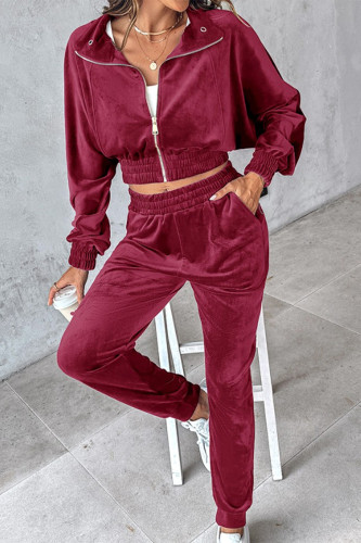 Casual Daily Solid Color Zipper Turndown Collar Long Sleeve Two Pieces