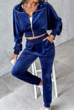 Casual Daily Solid Color Zipper Turndown Collar Long Sleeve Two Pieces