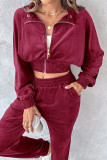 Casual Daily Solid Color Zipper Turndown Collar Long Sleeve Two Pieces