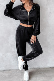 Casual Daily Solid Color Zipper Turndown Collar Long Sleeve Two Pieces