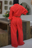 Casual Daily Solid Color Buttons Turndown Collar Long Sleeve Two Pieces