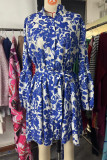 Elegant Floral Print Lace Up Pleated V Neck A Line Dresses