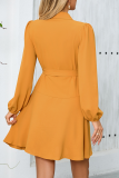 Daily Elegant Solid Color Lace Up Ruffle V Neck Irregular Dresses
