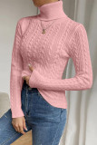 Casual Daily Solid Color Weave Texture Turtleneck Tops