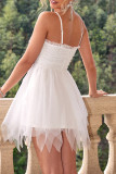 Sexy Prom Solid Color Irregular Mesh Evening Dresses