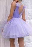 Sexy Party Solid Color Mesh V Neck Princess Dresses