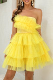 Sexy Solid Color Irregular Mesh Strapless Evening Dresses
