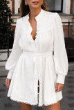Casual Solid Color Buckle Mandarin Collar A Line Dresses