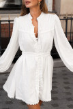 Casual Solid Color Buckle Mandarin Collar A Line Dresses