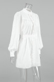 Casual Solid Color Buckle Mandarin Collar A Line Dresses