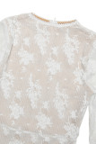 Elegant Solid Color Lace O Neck Long Dresses