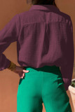 Casual Solid Color Hollow Out Turndown Collar Tops