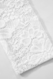Sexy Solid Color Lace See-Through O Neck A Line Dresses