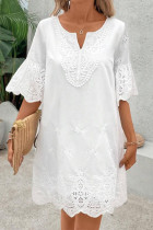 Elegant Solid Color Lace V Neck A Line Dresses